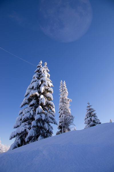 winter_websinn_245